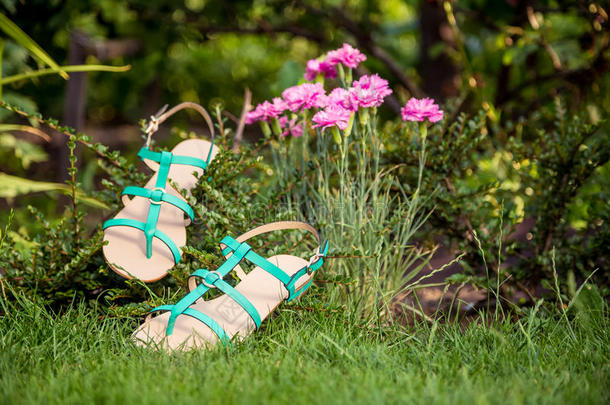 挂在灌木丛上的凉鞋，女鞋