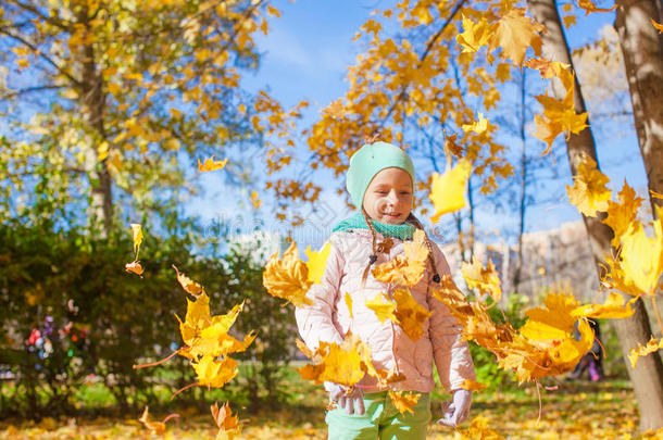可爱的小女孩带着黄色的枫叶在户外