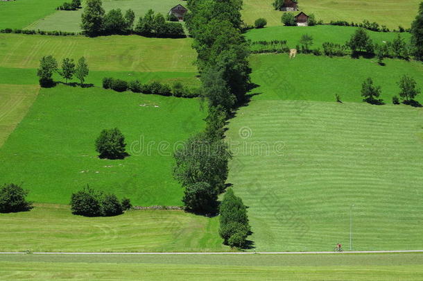 骑自行车在绿色丘陵景观夏季活动