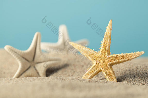 夏季背景-海滩上的海星