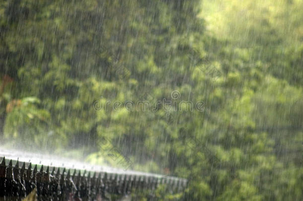 瓢泼大雨