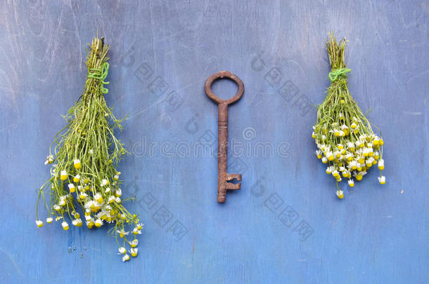 健康生活的夏日钥匙-挂在墙上的洋甘菊花