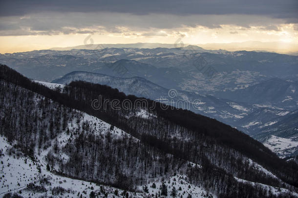 冬季景观，冷杉林被雪覆盖，<strong>远处</strong>的<strong>山</strong>峰，kopaonik<strong>山</strong>，塞尔维亚