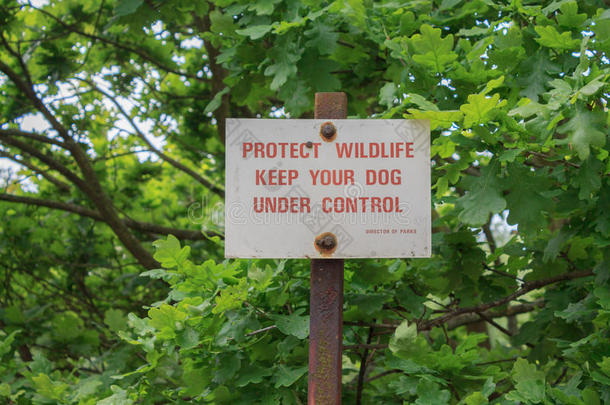 保护野生动物控制狗
