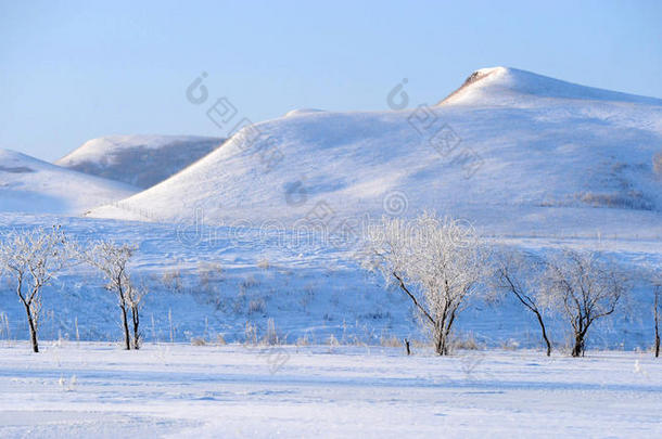 金色的<strong>雪原</strong>