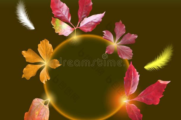 秋天的背景是五彩缤纷的树叶和飞舞