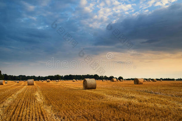 草地上夏日夕阳的乡村景观图像