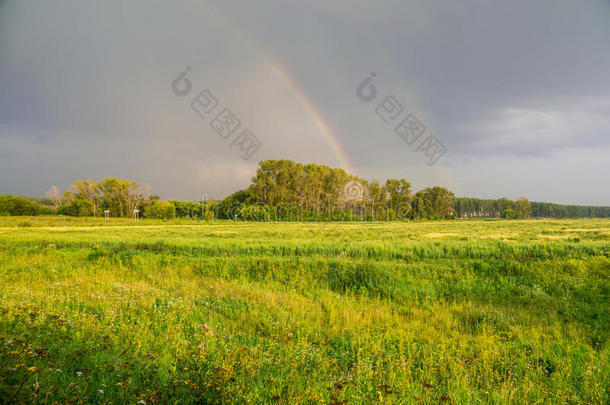 一场<strong>雨后</strong>的<strong>彩虹</strong>