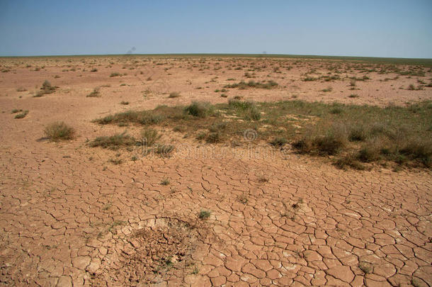 卡尔梅基亚的塔克尔沙漠，植被稀疏