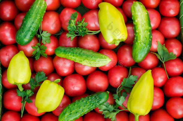 成熟的西红柿，颜色鲜红，体积小，胡椒粉