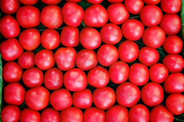 成熟的西红柿，颜色鲜红，体积小。