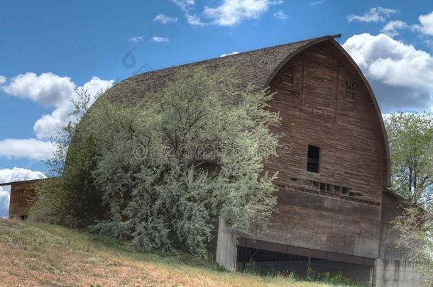 华盛顿一座山上废弃的破旧的木制谷仓