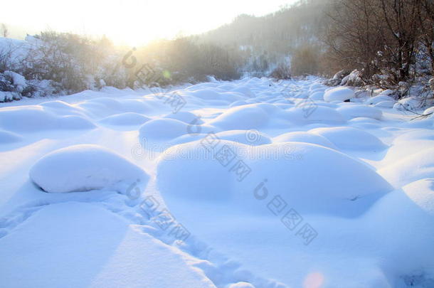 田野里的雪蘑菇