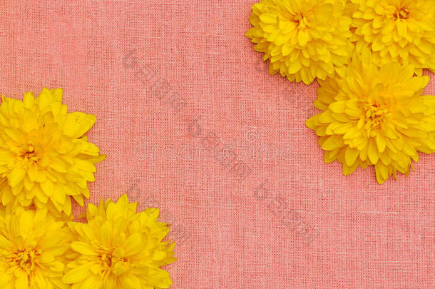 粉红色<strong>布料背景</strong>下的黄色花朵框架