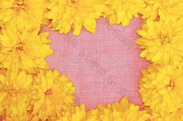 粉红色布料背景下的黄色花朵框架
