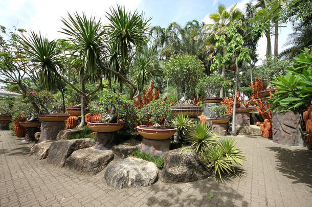 芭堤雅附近的农家乐热带植物园里，用热带花卉、石头、树木和草做成的花盆