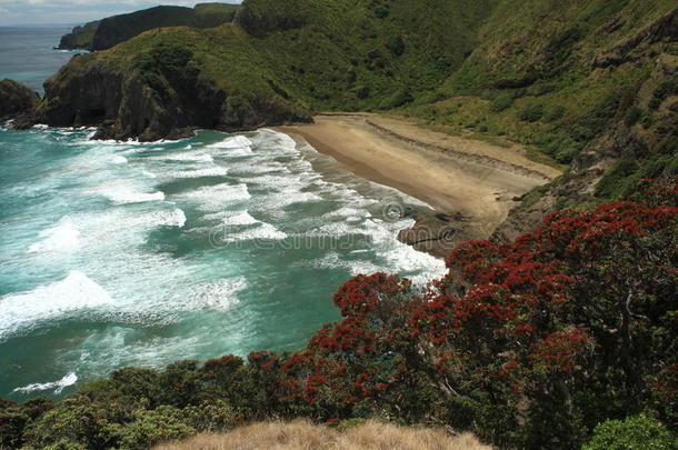 新西兰海岸