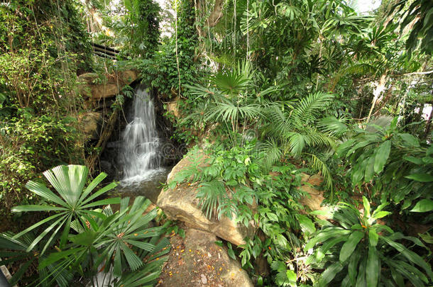 芭堤雅市附近的<strong>农家乐</strong>热带植物园，有植物、瀑布和石头的热带草甸