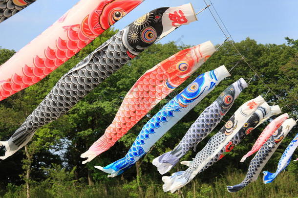 日本鲤鱼飘带