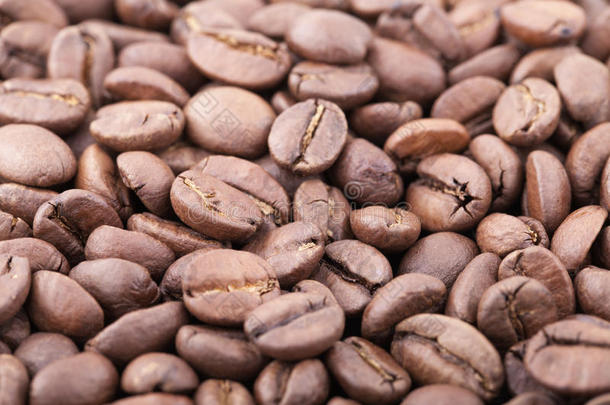 烤西达摩咖啡豆背景