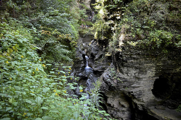 树木和河流在<strong>纽约</strong>州沃特金斯峡谷的岩层中找到了路
