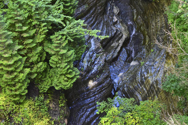 一条小溪在<strong>纽约</strong>州沃特金斯峡谷的峡谷中发现了一个狭窄的洞穴