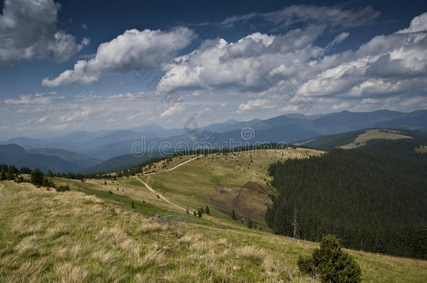 喀尔巴阡山脉的亚高山草甸和山坡上的公路