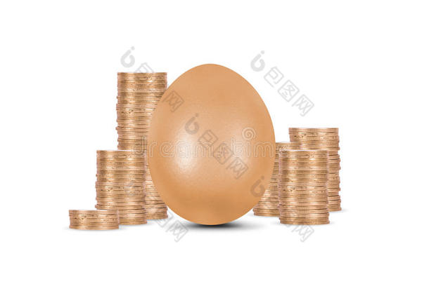 金币金蛋