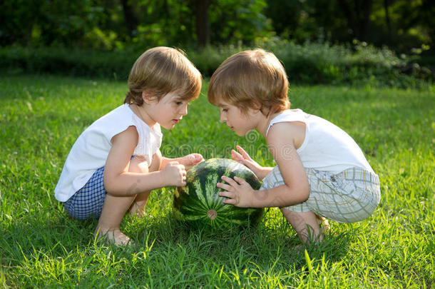 快乐的<strong>双胞胎兄弟</strong>在夏日公园的绿草地上玩西瓜