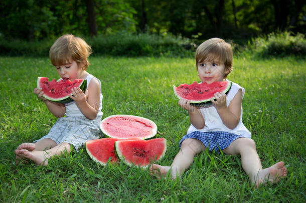 夏日公园绿草地上吃西瓜的双胞胎小兄弟