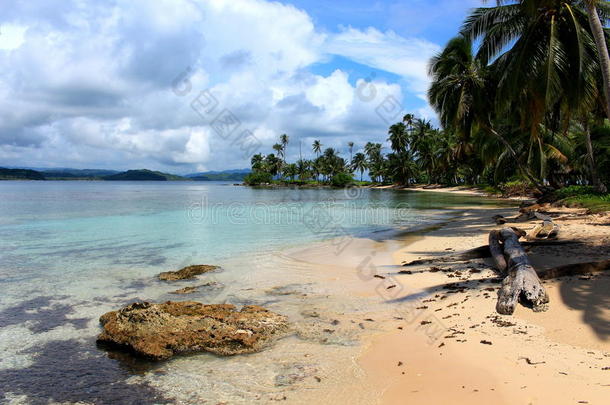 巴拿马鹈鹕海滩的主要景观。