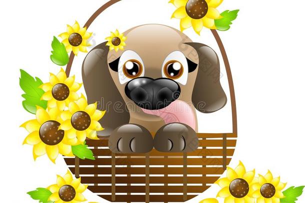可爱的小狗在向日葵篮子里
