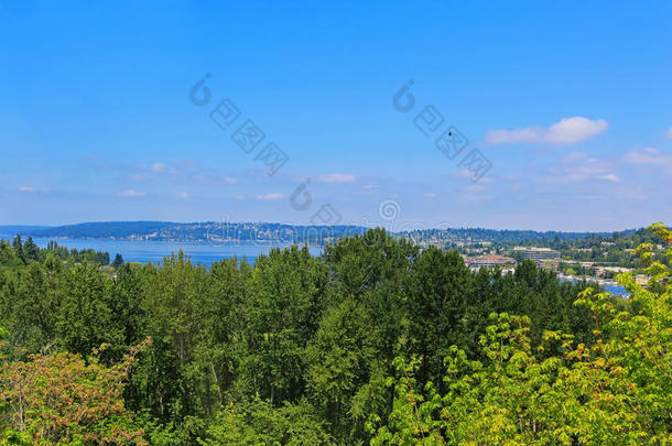 从步行甲板看到海湾的风景。华盛顿州