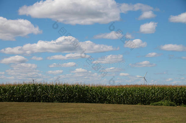 风车和玉米地上空多云的夏季天空