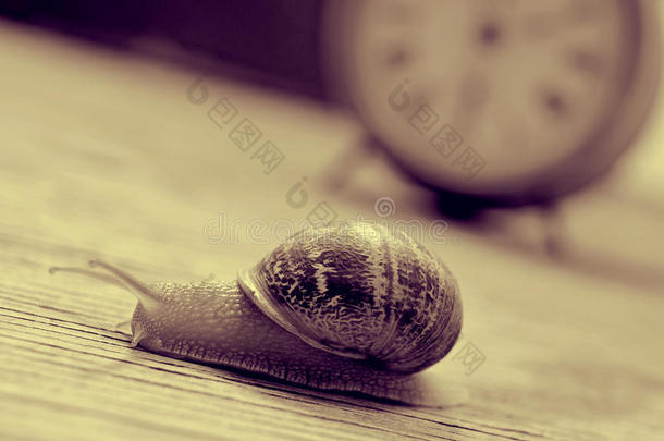 土地蜗牛和时钟，深褐色调