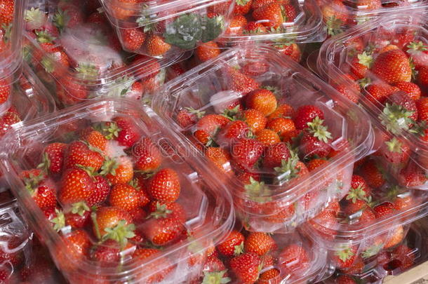 一堆堆草莓水果