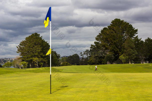高尔夫球场和旗帜