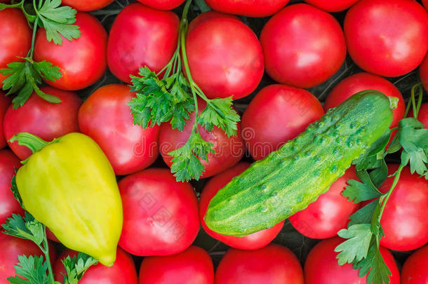 成熟的西红柿，颜色鲜红，体积小，胡椒粉