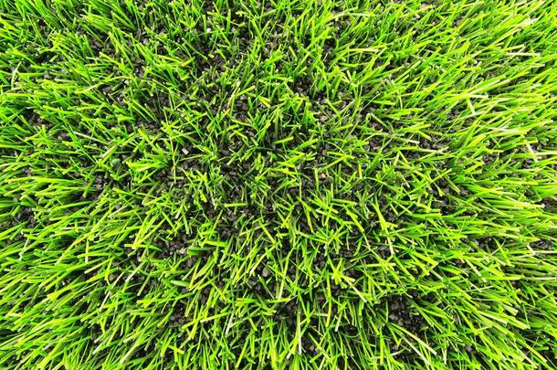 足球场塑料草地详图。足球场上画成的白线交叉的细节。人造草