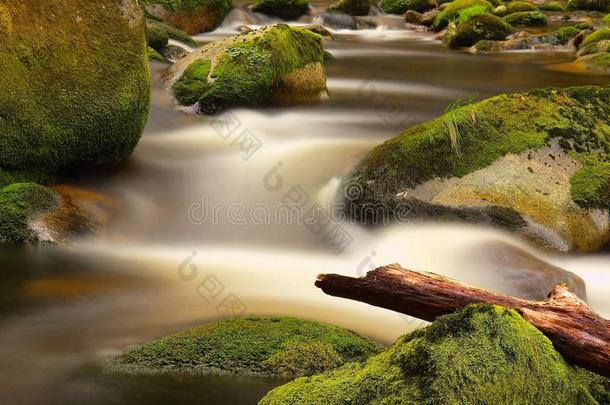 在明亮模糊的波浪上方河岸的巨石之间堵塞了腐烂的树干。河水清澈的水中长满苔藓的大石头。