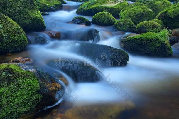 山河中的石头，湿漉漉的苔藓地毯和草叶。草的颜色<strong>清新</strong>，苔藓的深<strong>绿色</strong>