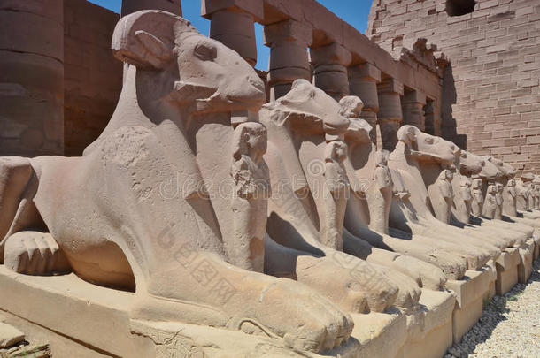 卡纳克神庙里有羊头的狮身人面像。卢克索。埃及。