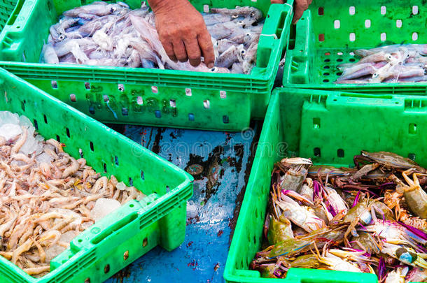鱼市场的盒装海鲜