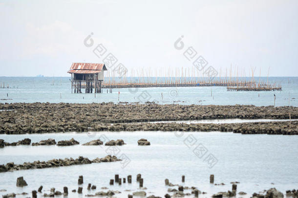 扇贝养殖场海景