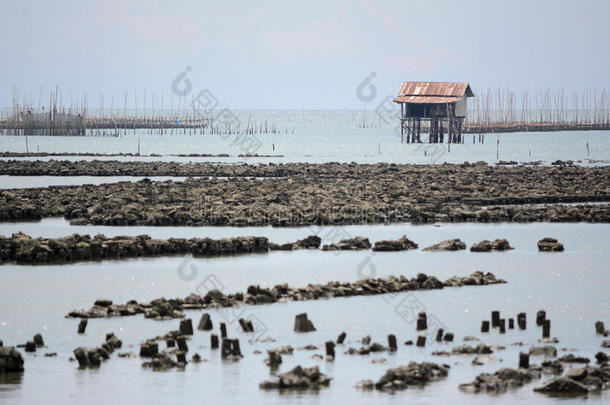 扇贝养殖场海景