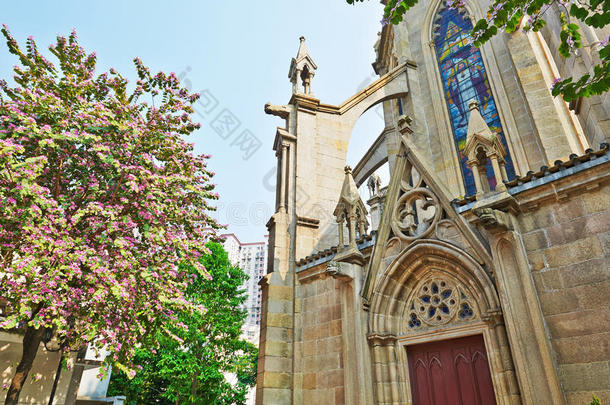 大教堂和花树