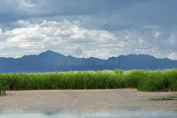 草原上的河流。大草原