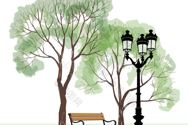 公园里有树和路灯的长椅。城市公园景观。