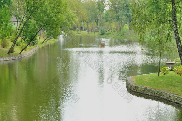 美丽的湖景