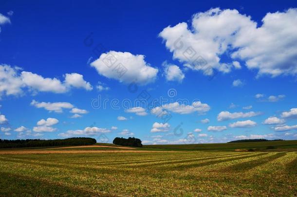背景是草地和云朵
